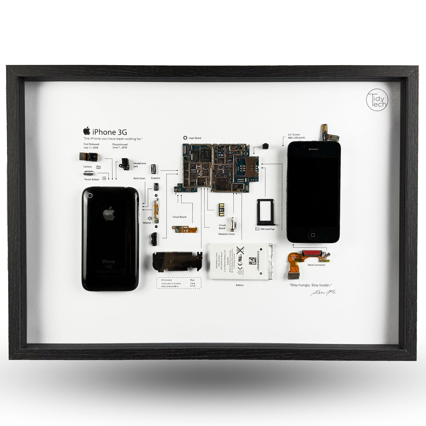 TidyTech iPhone Frame